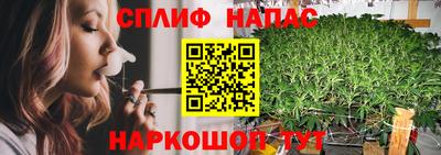 ешки Славянск-на-Кубани