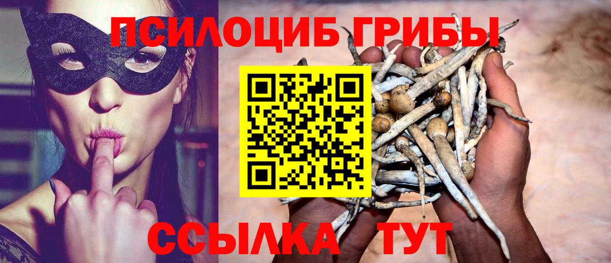 Оренбург  Галлюциногенные грибы мухоморы  Вход с VPN  Галлюциногенные грибы MAGIC MUSHROOMS 