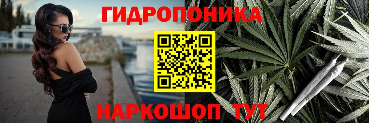 Шишки марихуана AK-47  Бошки марихуана THC 21%  Конопля White Widow  Вход с VPN  Оренбург 